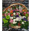 ИСТОРИЯ ЧУВСТВ