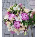 ЗАВЕТНАЯ МЕЧТА